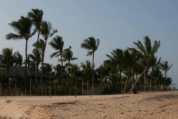 Naviguer dans les Obstacles Juridiques de la Location de Mobil-Homes en Camping : Guide Essentiel à Connaître